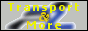 Transport and More LLC